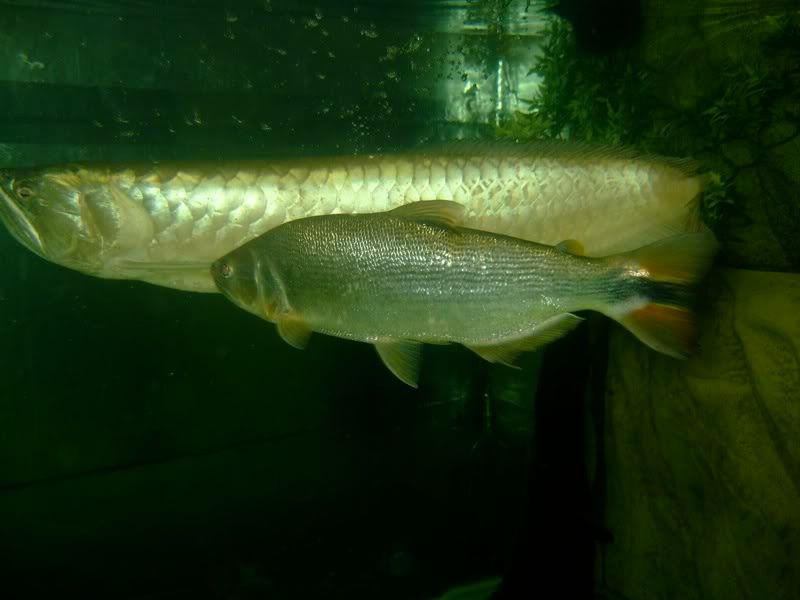 DSCF2479.jpg