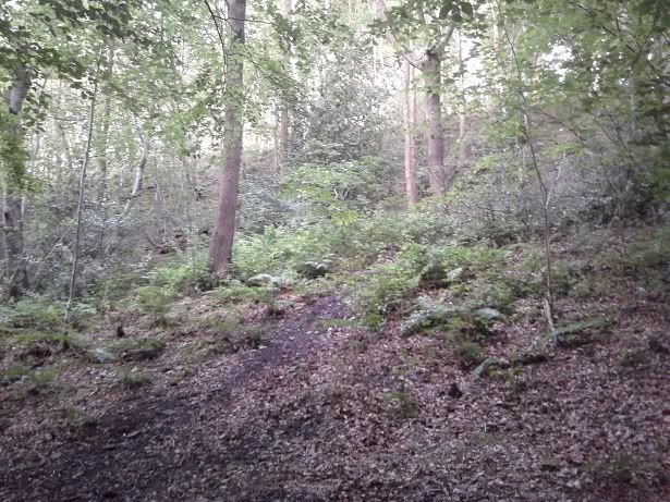 2012-06-20200302.jpg