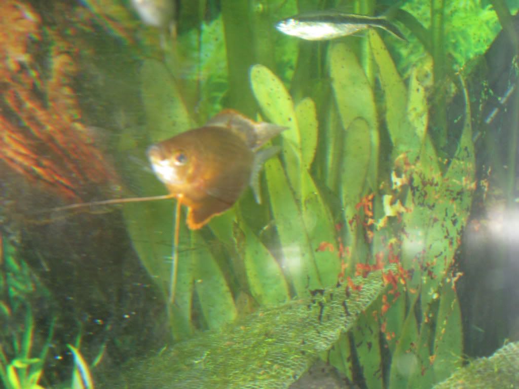 IMG_0957.jpg