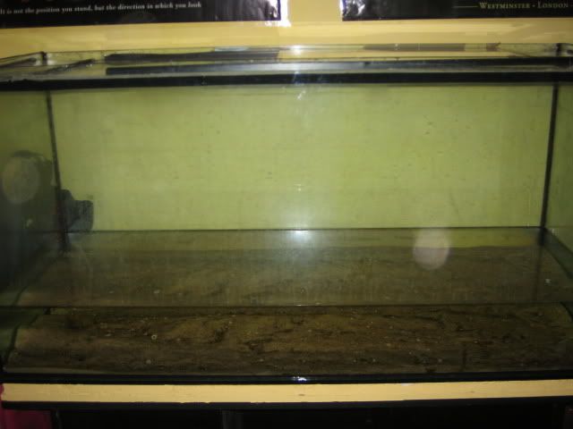 fishtank2.jpg