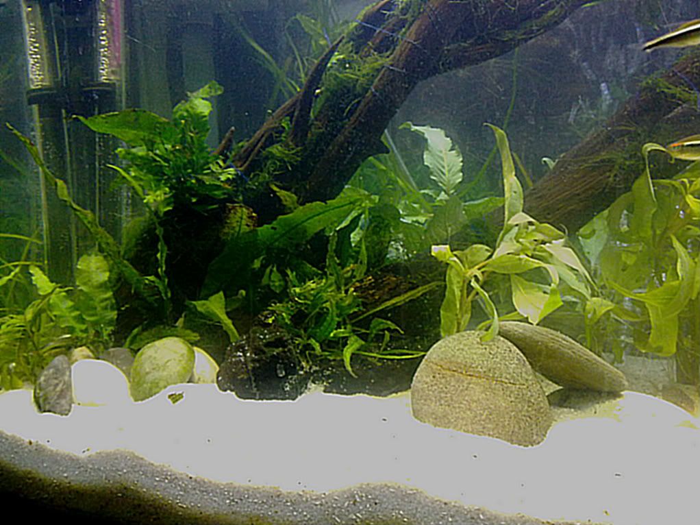 06022012669.jpg