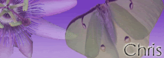 chrissigtp2-1.gif