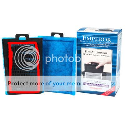 pPETS-3756699t400.jpg