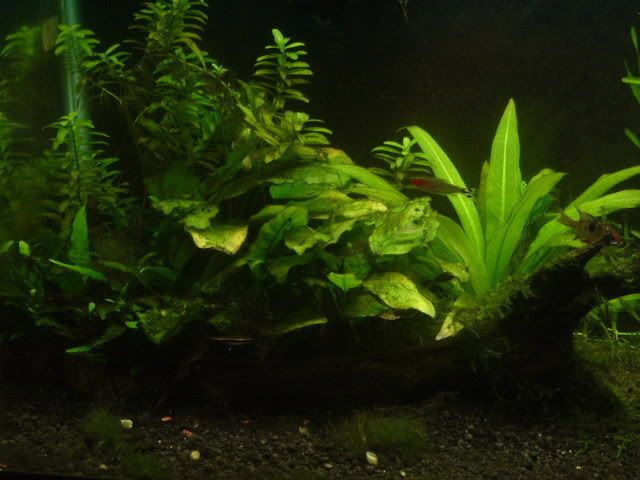 DSCF1413.jpg