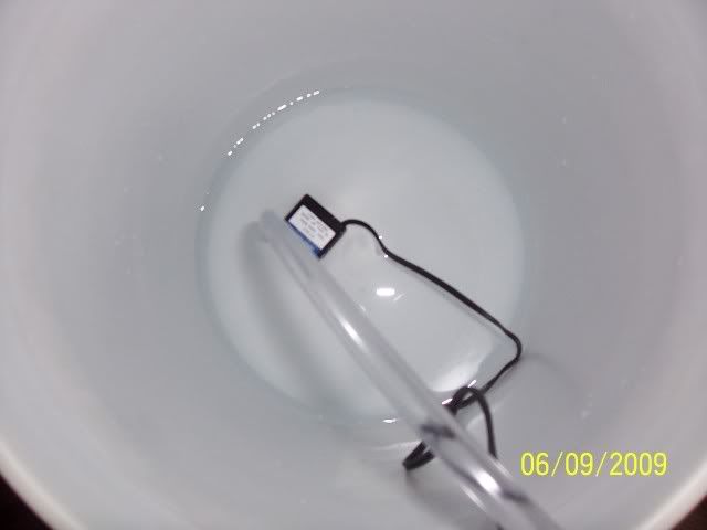 100_6566.jpg