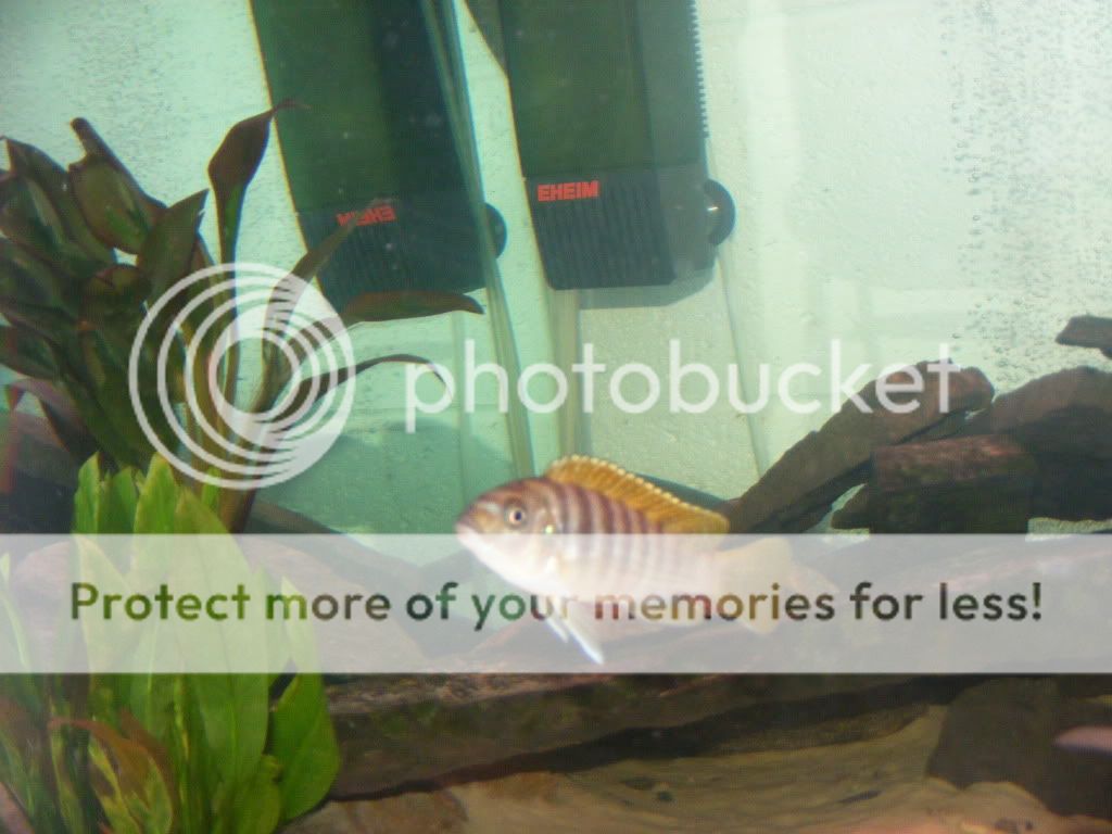 DSCF2642.jpg