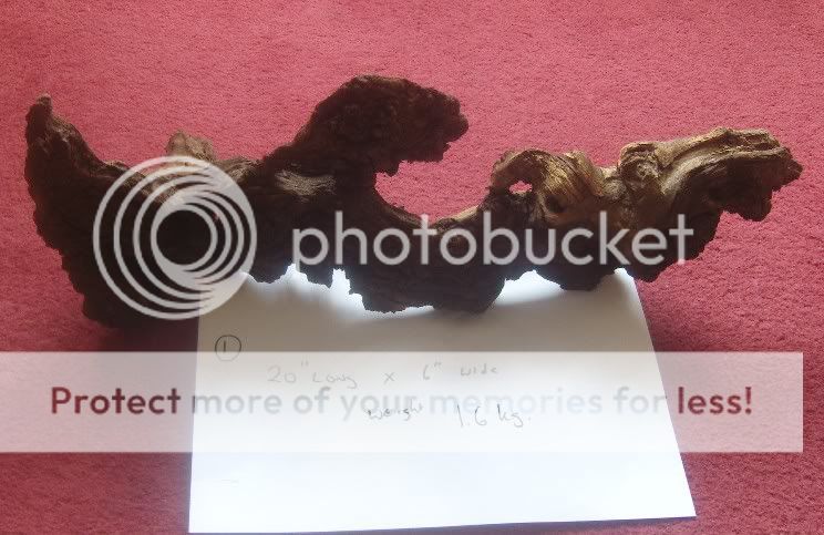 Bogwood1-1.jpg