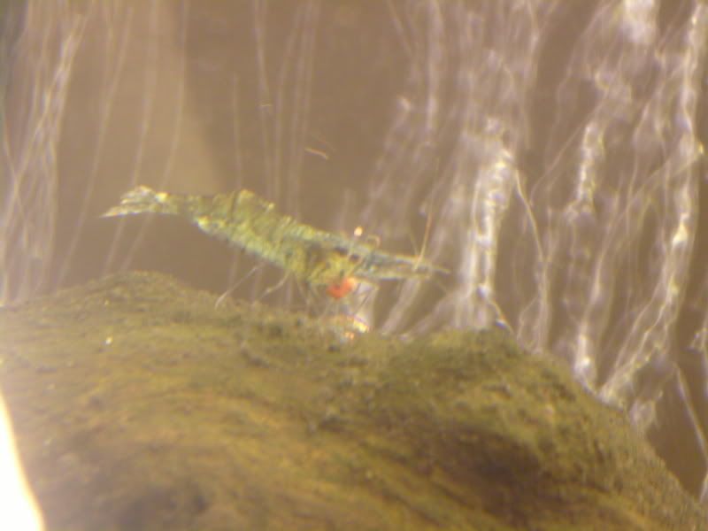 S7002581.jpg