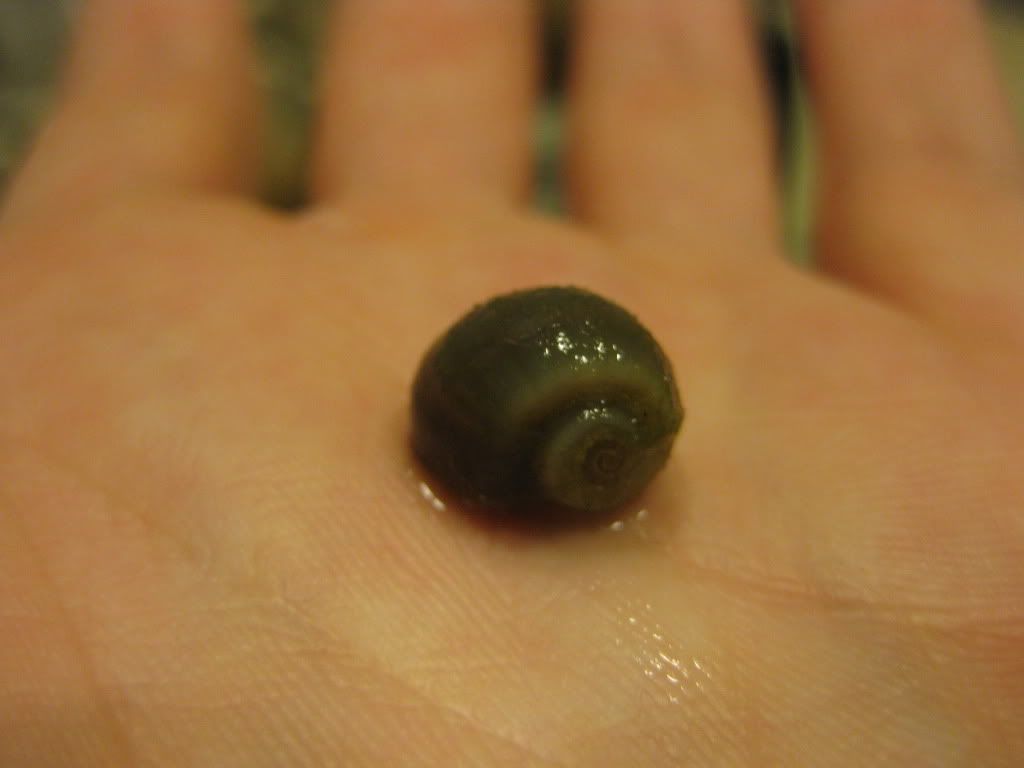 BabyGar024.jpg