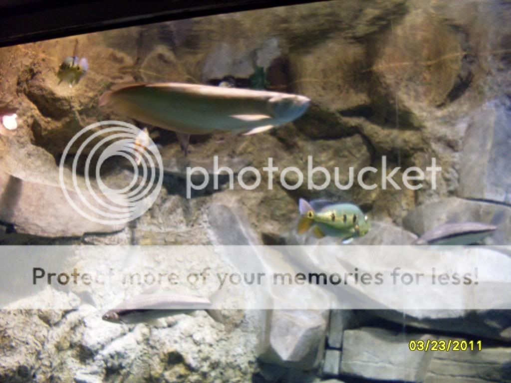 SDC12652.jpg