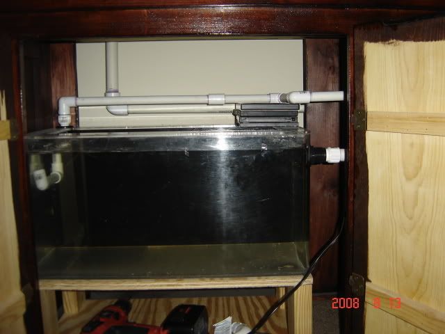 DSC07146.jpg