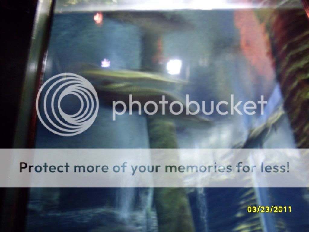 SDC12675.jpg