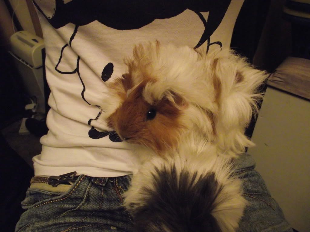 DSCF0687.jpg