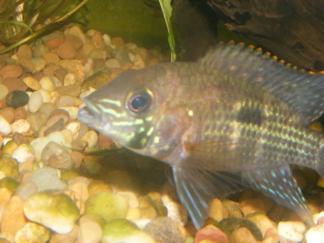 DSCF6637.jpg