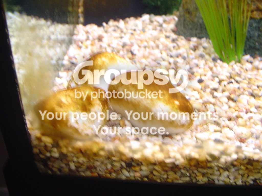 DSC00913.jpg