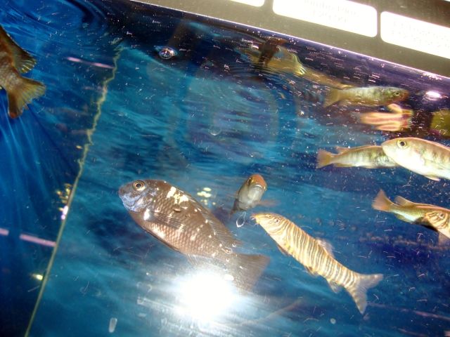DSC01369.jpg