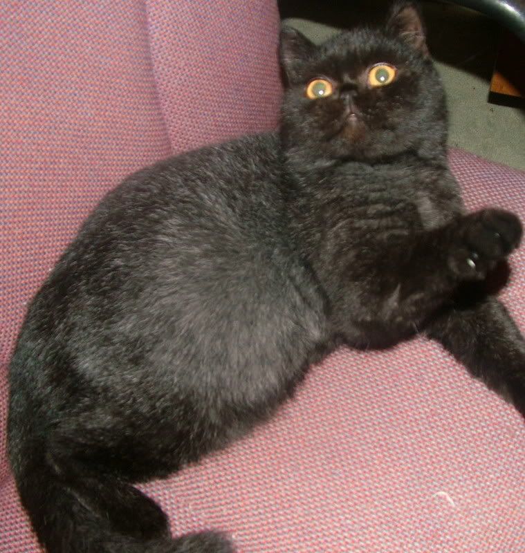 DSCF3612.jpg