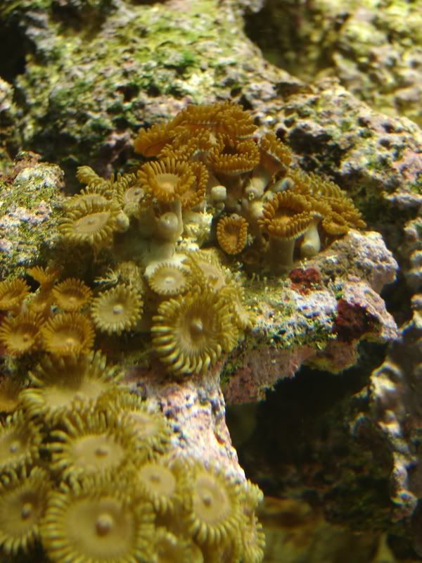 DSC02410.jpg