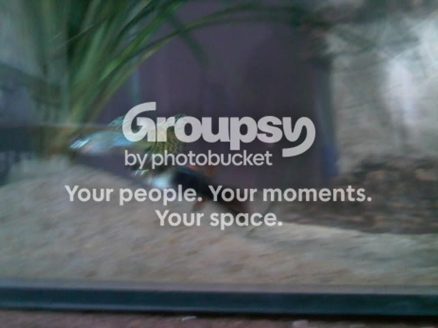 IMG039.jpg