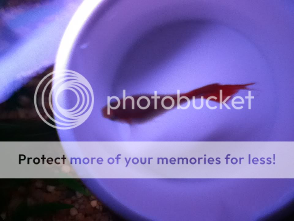 photo5.jpg