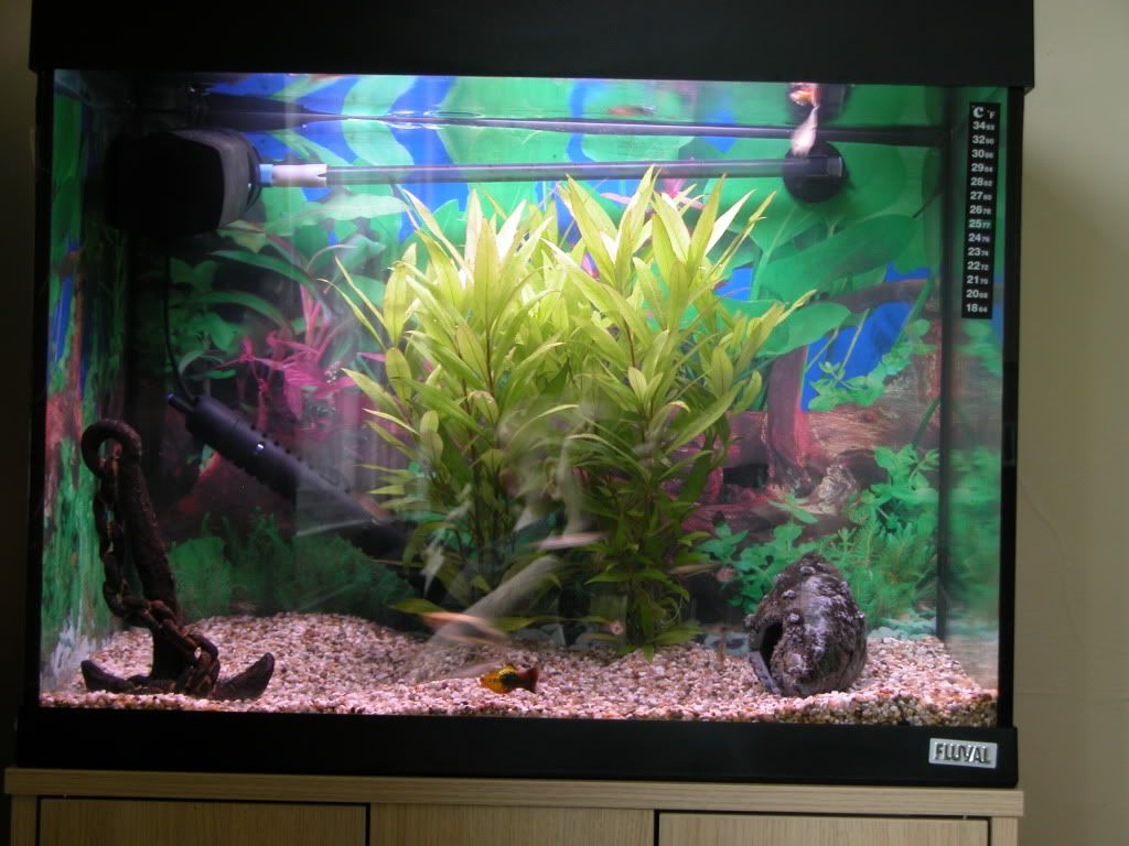 DSCN2902.jpg