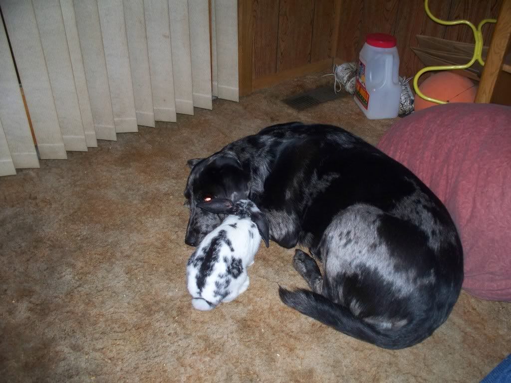 100_0330.jpg
