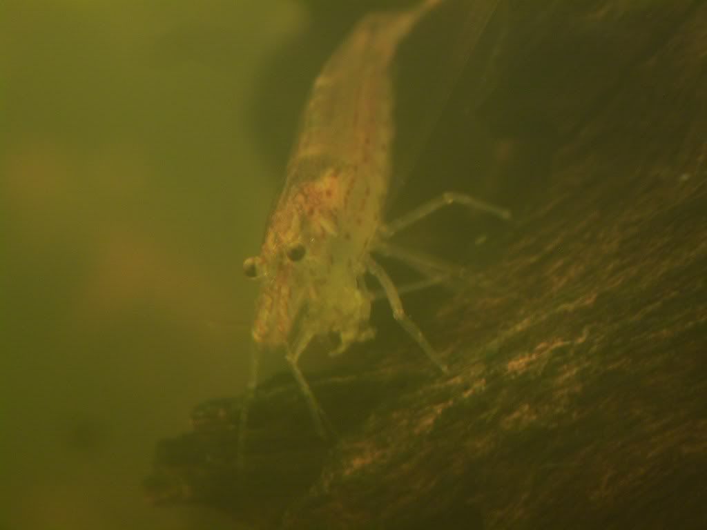 S7003657.jpg