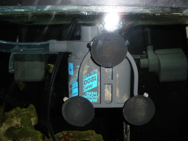 010-1.jpg