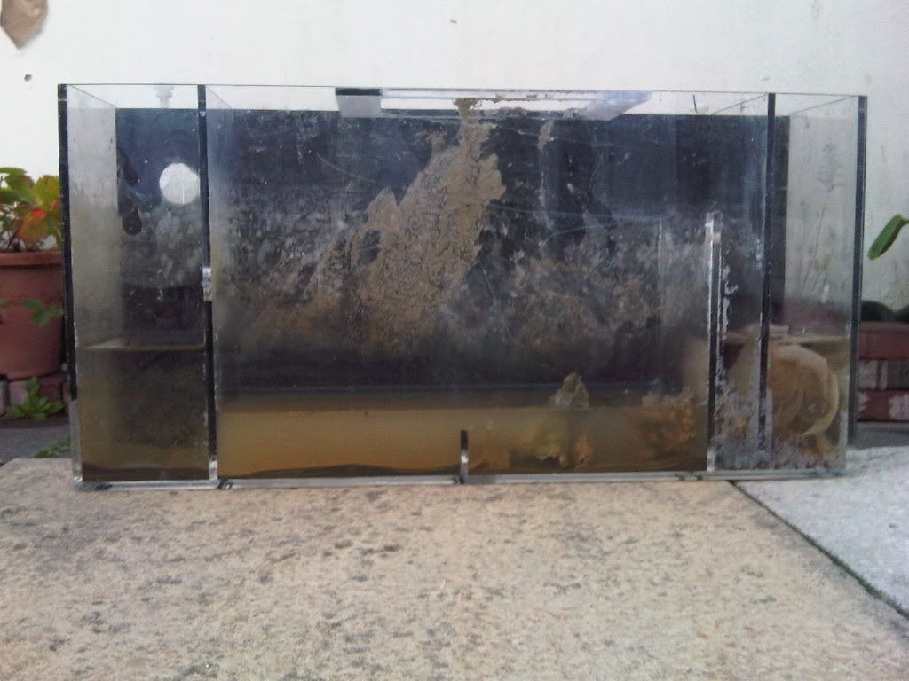 IMG00219-20110814-2021.jpg