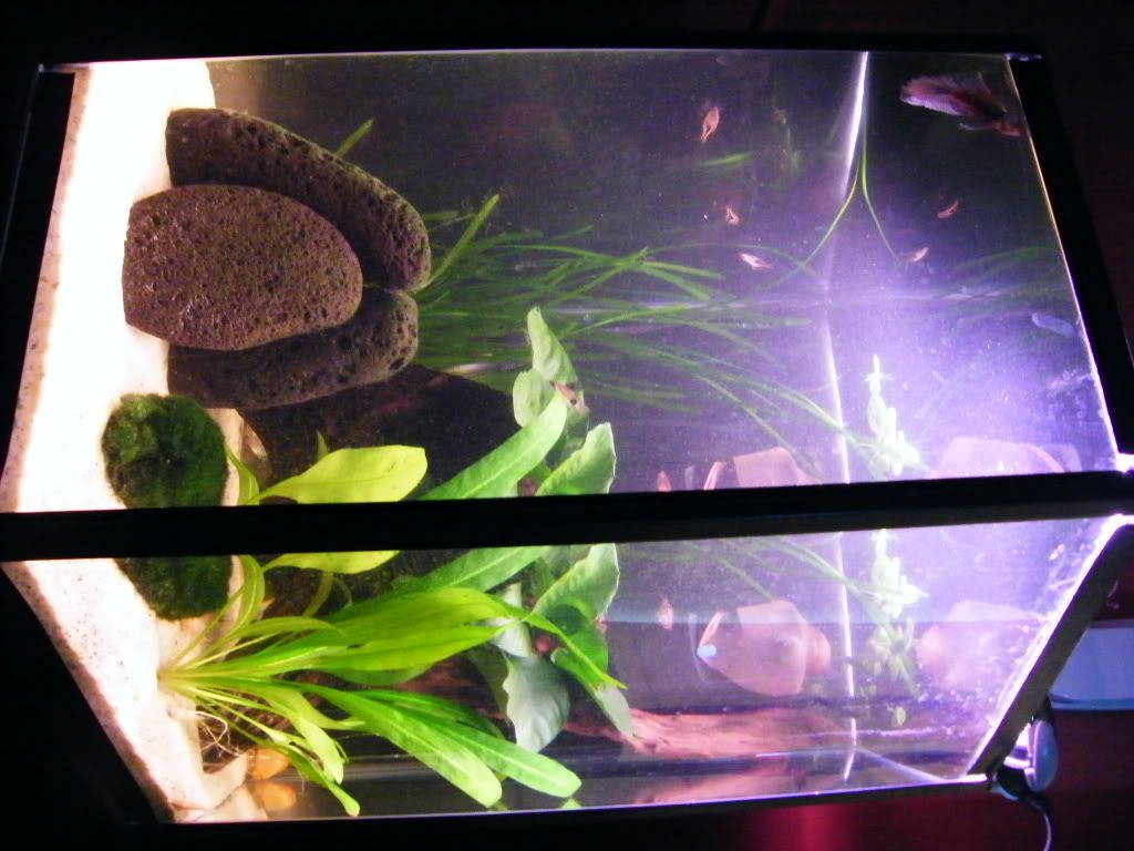 DSCF4637.jpg