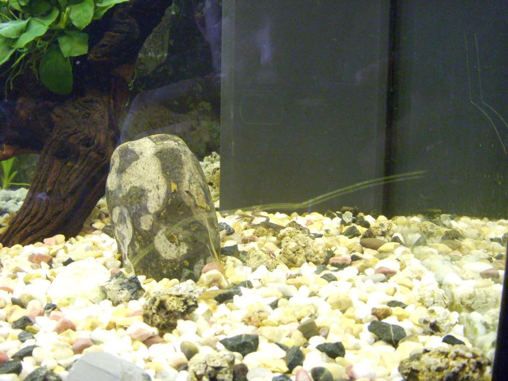 DSCN0460.jpg