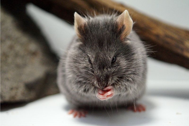 Grumpy30thSep20141m.jpg