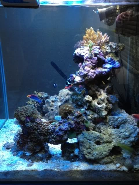 photo2-17.jpg