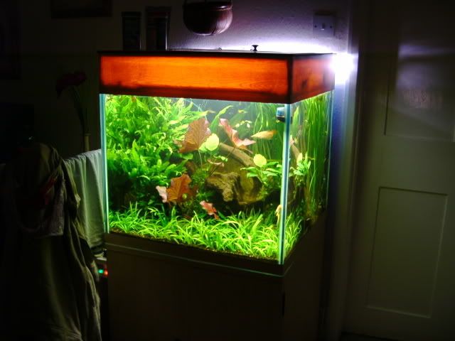 lastcube2.jpg