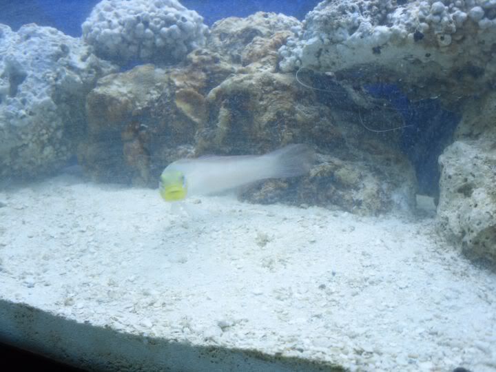 SDC10307.jpg