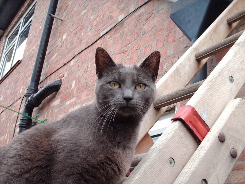 Picture002.jpg