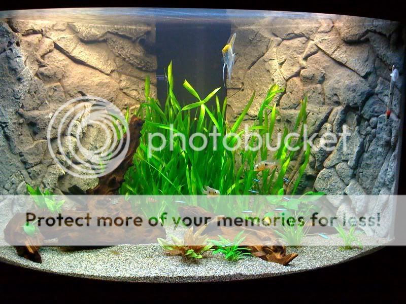 rescape4-1.jpg