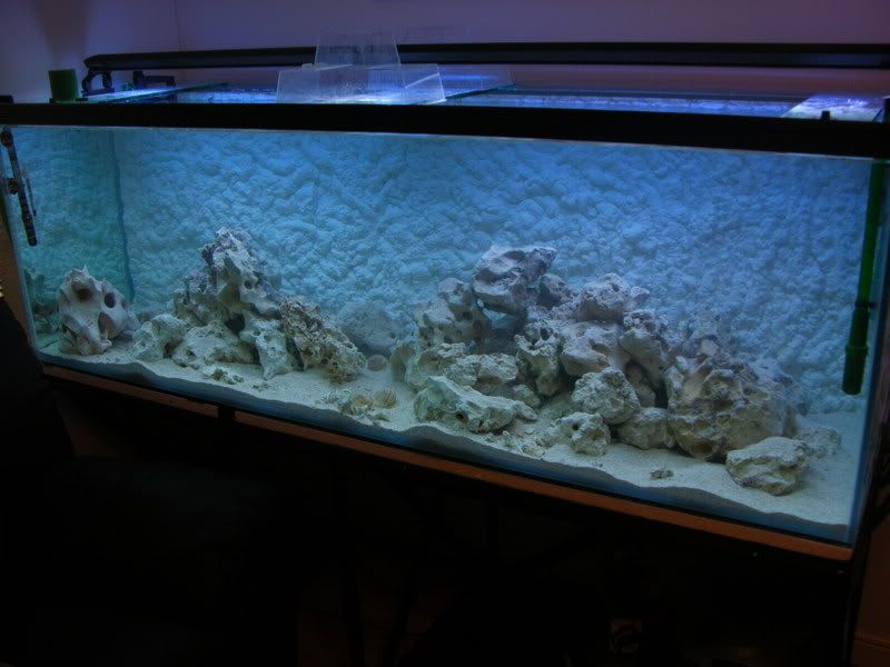 DSCN3009.jpg