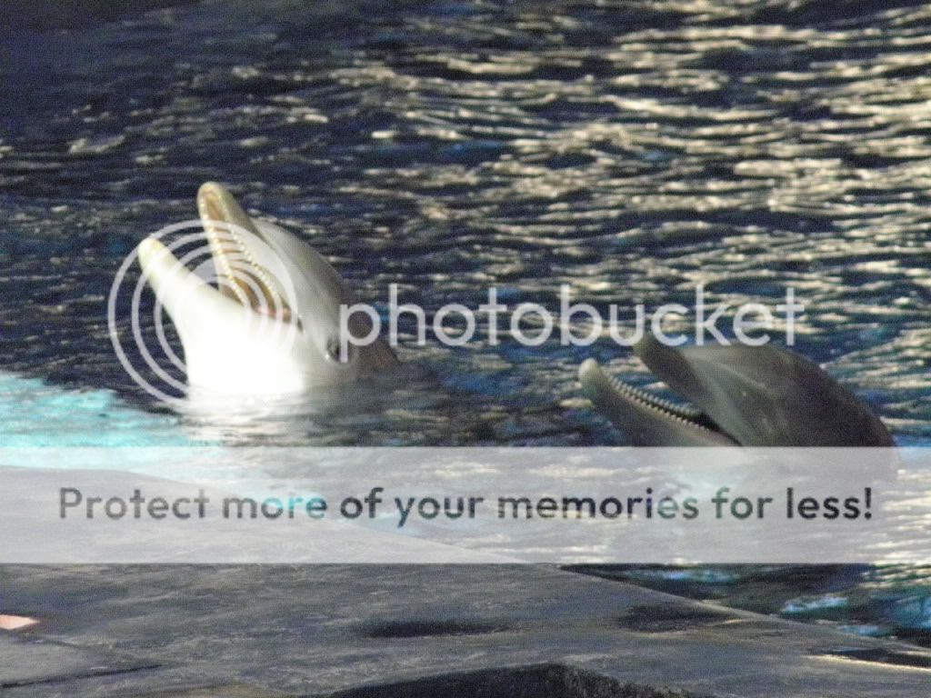Aquarium21.jpg