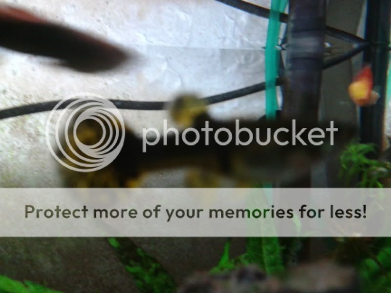 2012-01-29193821.jpg
