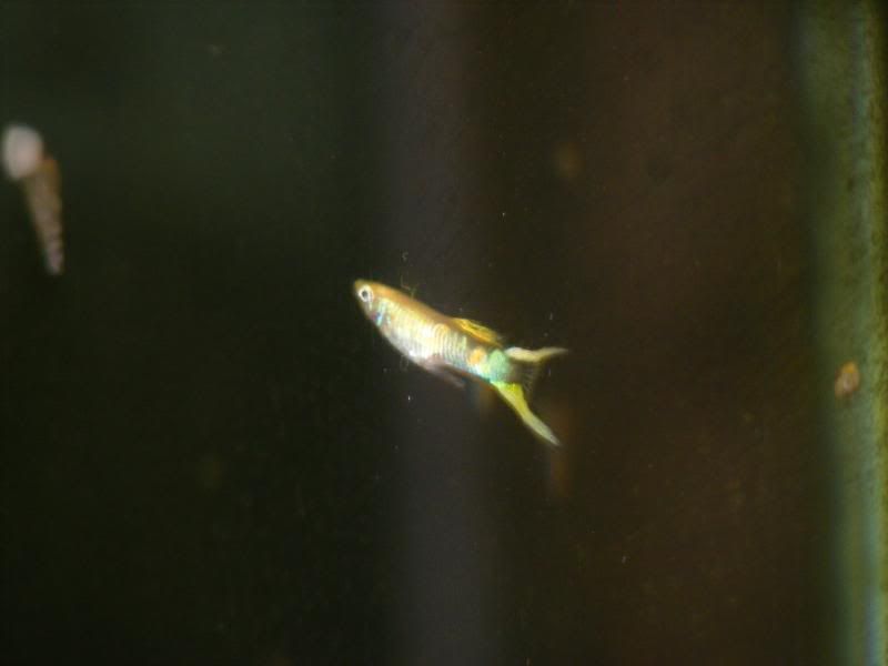 DSCF4198.jpg