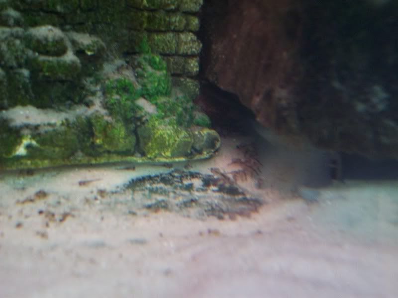 100_7859.jpg