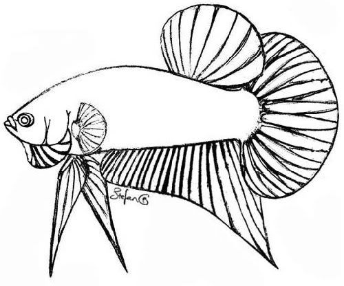 8a1ff068.jpg