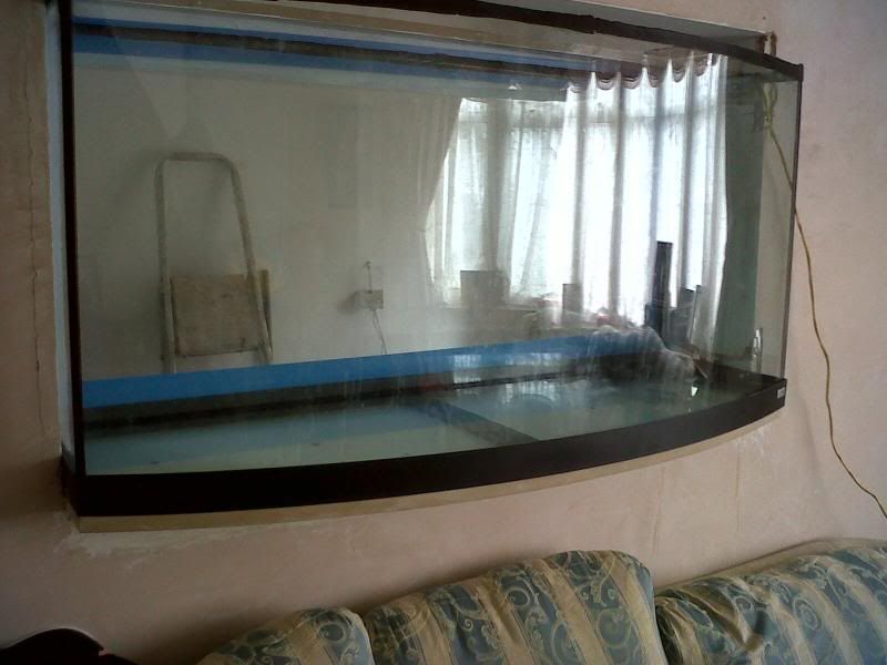 IMG00118-20100803-1235.jpg