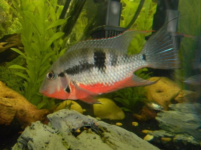 DSCN1049.jpg