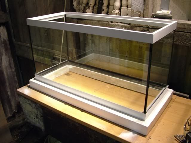DSCF0699.jpg