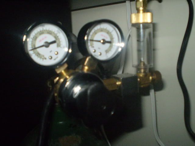 P6020186.jpg