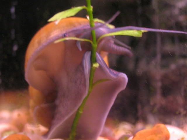IMG_1574.jpg