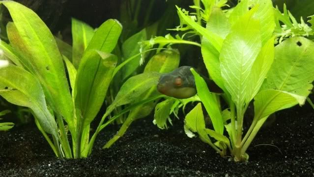 2012-06-23_09-03-39_498.jpg