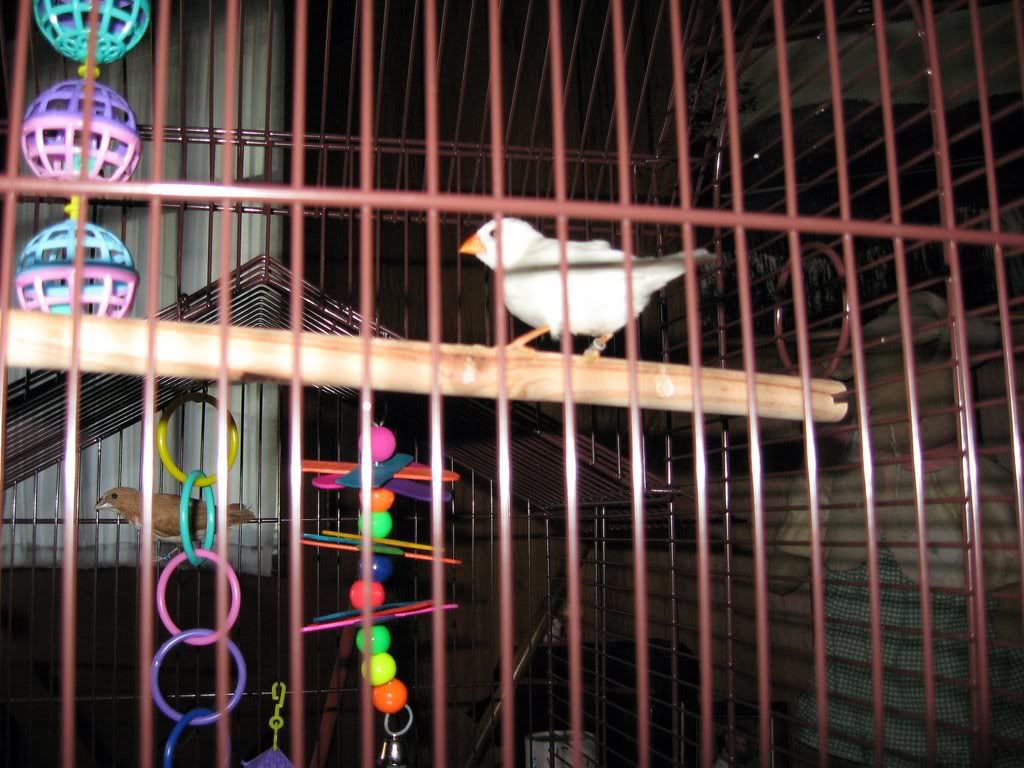 IMG_23551.jpg